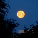 2506F 118 Mond um 4 Uhr 30